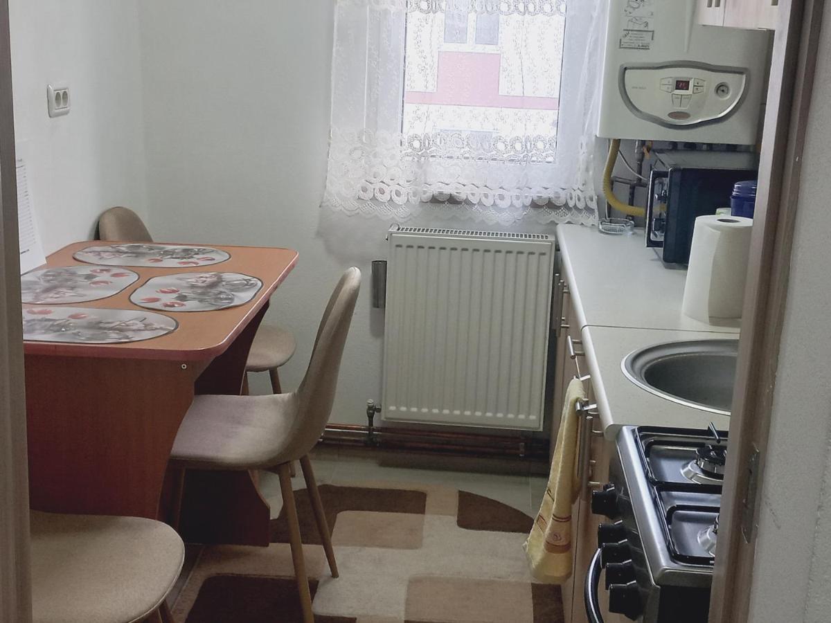 קאמפולונג מולדובנסק Apartament Bianca מראה חיצוני תמונה