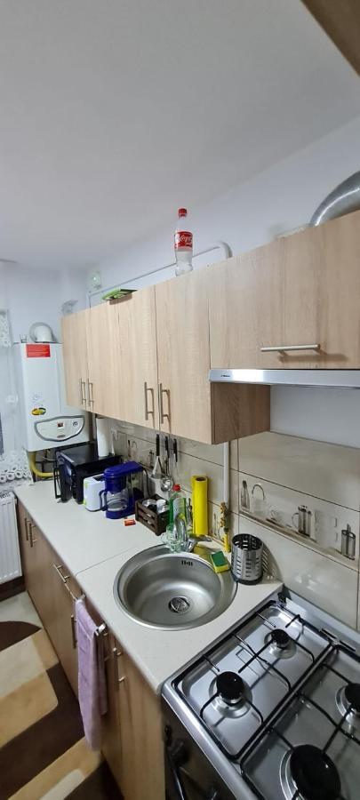 קאמפולונג מולדובנסק Apartament Bianca מראה חיצוני תמונה