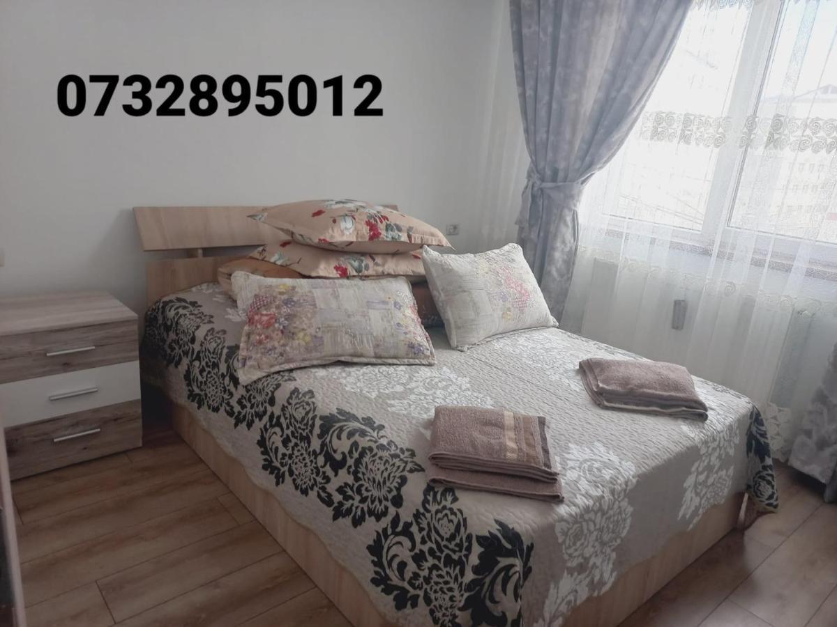 קאמפולונג מולדובנסק Apartament Bianca מראה חיצוני תמונה