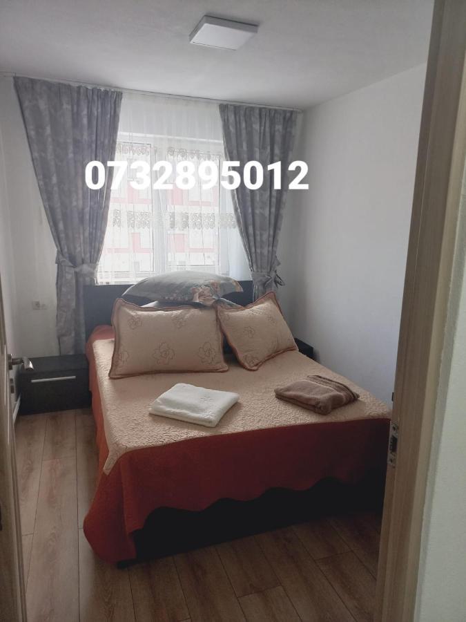קאמפולונג מולדובנסק Apartament Bianca מראה חיצוני תמונה