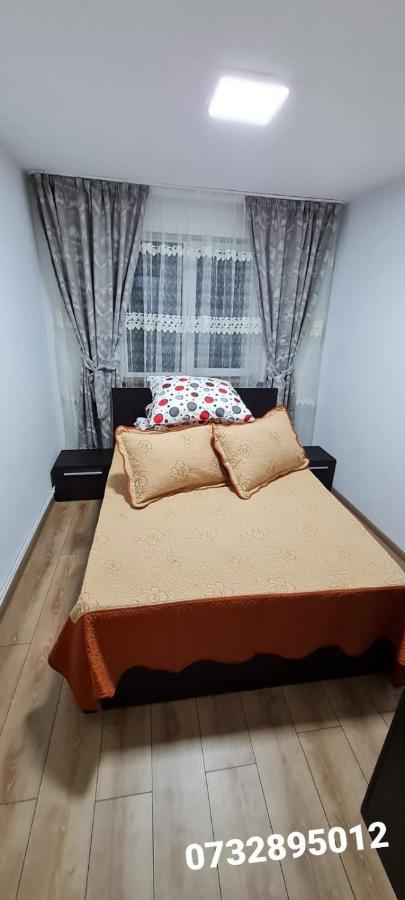 קאמפולונג מולדובנסק Apartament Bianca מראה חיצוני תמונה